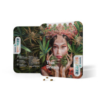 Thai Dream - Cannabis Seeds by Azarius